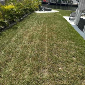 Weeding by LSLTDallas/FortWorthTruGreen reviewed on August 7, 2025