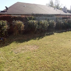 Bush Trimming by Sharp Cuts Lawn Service reviewed on May 4, 2021