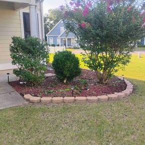 Bush Trimming by Rouse Curb Appeal reviewed on April 3, 2022
