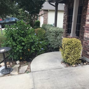 Bush Trimming by Go Green Garza Solutions reviewed on September 8, 2024