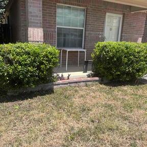Bush Trimming by Go Green Garza Solutions reviewed on September 8, 2024