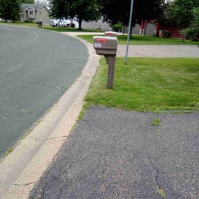 Bush Trimming by One & Done pressure washing and lawn services reviewed on October 12, 2021