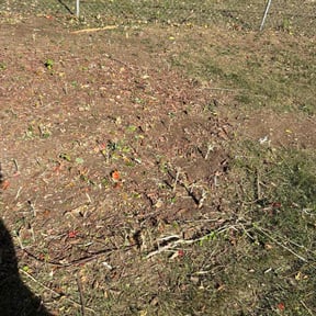 Flower Bed Weeding by JD Inc. reviewed on December 15, 2024