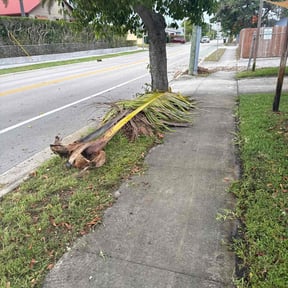 Cleanups by ShiftChange LLC Lawn Service reviewed on November 2, 2021
