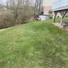 Leaf Removal by Happy plantsman reviewed on September 12, 2024