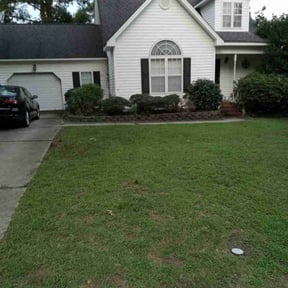 Bush Trimming by My Family Lawn Care reviewed on July 14, 2022