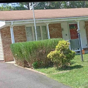 Bush Trimming by SGP Lawn Services reviewed on March 28, 2025