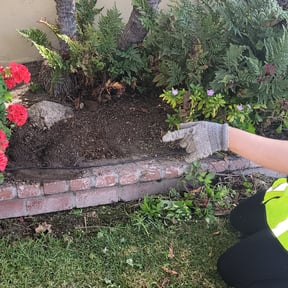 Flower Bed Weeding by Don's Landscaping LLC reviewed on July 18, 2022