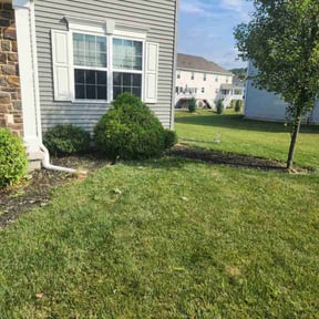 Flower Bed Weeding by BKreativ reviewed on May 28, 2022