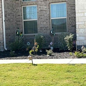 Bush Trimming by Cantus Lawn Care reviewed on October 14, 2024