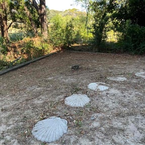 Bush Trimming by Nickel Pickle Landscapes reviewed on July 30, 2025