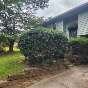 Bush Trimming by Pete’s Elite Lawn Care LLC reviewed on June 2, 2022