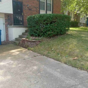 Bush Trimming by DW Lawn Care & Landscaping reviewed on April 28, 2022
