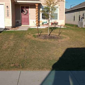 Flower Bed Weeding by Israel Chavez reviewed on July 4, 2022
