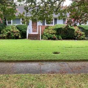 Bush Trimming by All Electric Landscaping reviewed on May 22, 2023