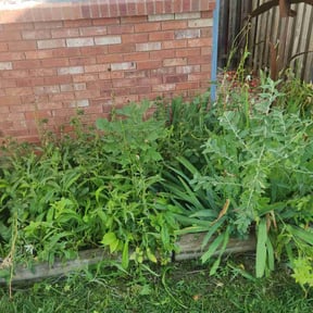 Flower Bed Weeding by Jeff's LawnCare Service reviewed on May 12, 2021