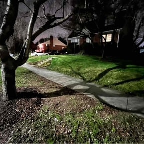 Leaf Removal by Lawn services JAV reviewed on June 2, 2025