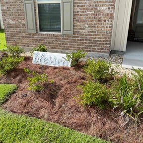 Flower Bed Weeding by Buddy's Mow Blow &amp; Go Lawncare reviewed on July 2, 2025
