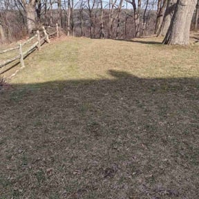 Leaf Removal by A handy pro reviewed on September 4, 2021