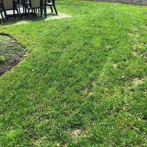 Leaf Removal by Montour Xpress reviewed on November 18, 2024