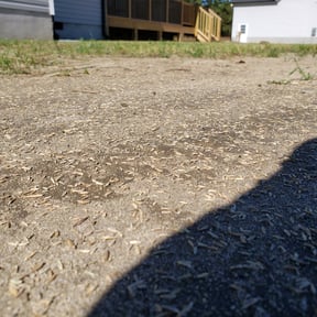 Landscaping by F&M LAWNCARE reviewed on September 21, 2021