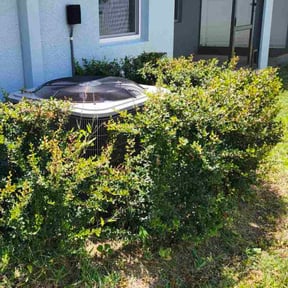 Bush Trimming by ValueBase Lawn Care reviewed on November 17, 2022