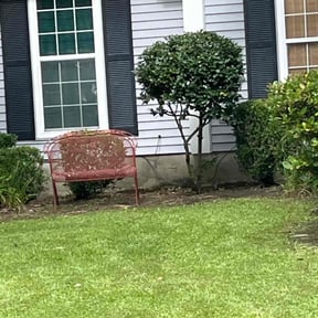 Weeding by Turnerz Does it All reviewed on April 19, 2025