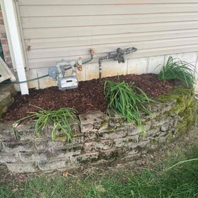 Mulching by Top Turf L.L.C reviewed on September 3, 2020