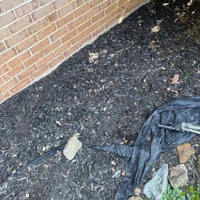 Flower Bed Weeding by EECO SERVICES LLC reviewed on September 8, 2021