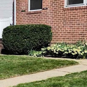 Bush Trimming by RM Landscapes reviewed on April 26, 2022