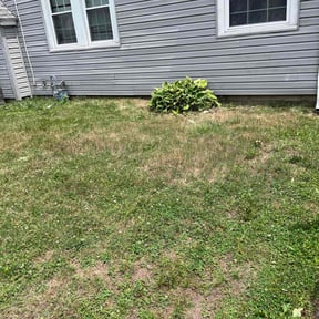 Cleanups by Way family lawn grooming reviewed on July 4, 2022