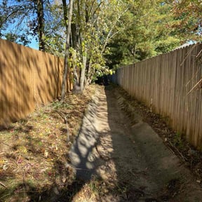 Cleanups by Paz Lawn Services reviewed on March 7, 2022