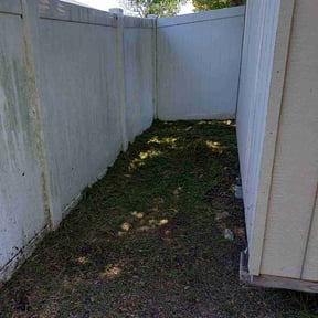 Cleanups by P&amp;D Landscaping. reviewed on July 1, 2025