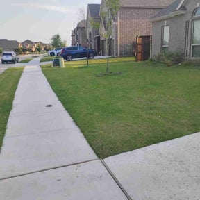 Bush Trimming by Masga Mowing reviewed on May 20, 2022