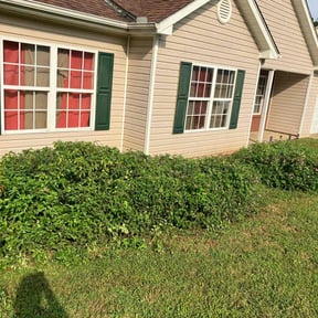 Bush Trimming by Sage LLC reviewed on July 3, 2025