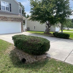 Bush Trimming by Complete Lawn Care reviewed on June 13, 2022