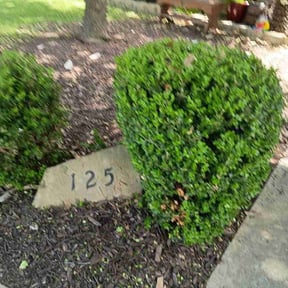 Bush Trimming by X&G Lawn Care Services and More reviewed on June 4, 2022