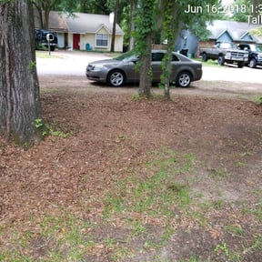 Leaf Removal by All Terrain Lawn Services reviewed on July 3, 2025