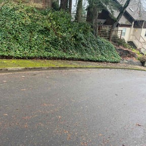 Leaf Removal by Green Hands Landscaping reviewed on October 13, 2021