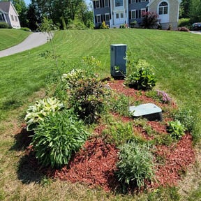Mulching by Scorpion lawn Maintenance reviewed on November 14, 2021