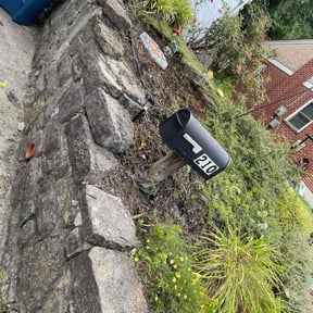 Flower Bed Weeding by KeyBoy Entertainment reviewed on July 30, 2025