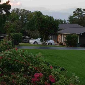 Bush Trimming by Logans Lawn service reviewed on July 24, 2025