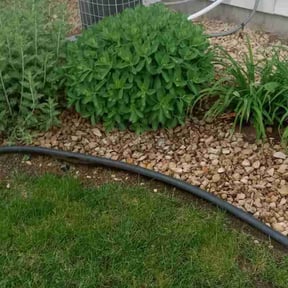 Flower Bed Weeding by Cherry Bomb Lawn Care reviewed on June 9, 2022
