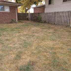 Leaf Removal by Greenway services reviewed on April 25, 2022