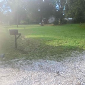 Cleanups by Better Dash Group LLC reviewed on May 16, 2025
