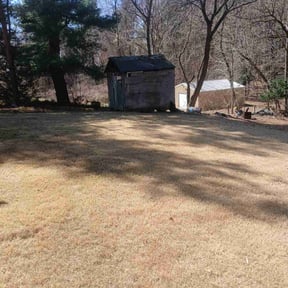 Leaf Removal by B&SS reviewed on May 12, 2022