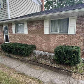 Bush Trimming by Ray's lawncare reviewed on July 8, 2022