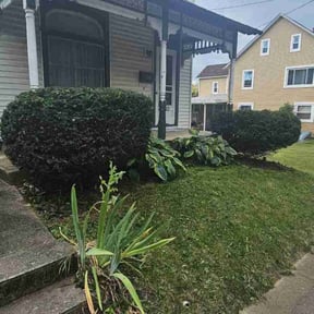 Bush Trimming by Electric Lawns reviewed on May 21, 2022