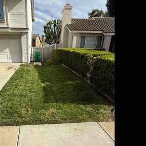 Bush Trimming by Scott Bensing Lawn Care reviewed on June 6, 2022