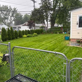 Cleanups by Contreras Outdoors reviewed on June 10, 2022